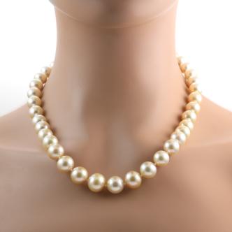 13.6mm-10.0mm Golden South Sea Pearl