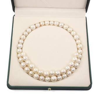 50 Loose South Sea Pearls 140.1g